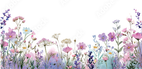 Border with watercolor wildflowers. Watercolor pink wildflowers and meadow flowers, herbs and dried flowers. Floral vector blossom on isolated white background. Watercolor wildflowers.