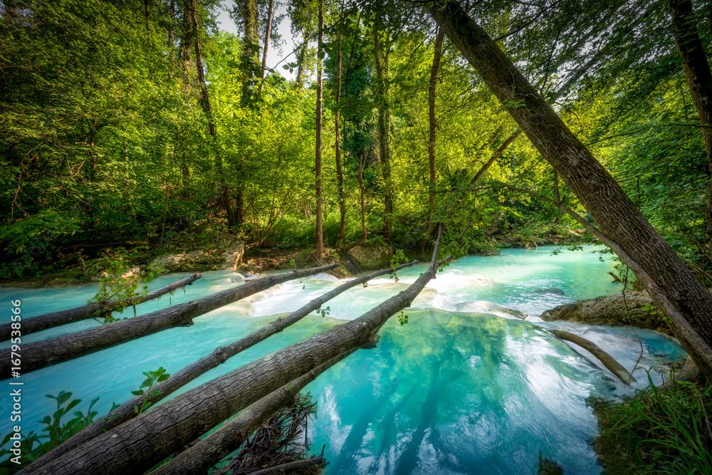 Obraz premium Fallen tree branches over turquoise Elsa river on Sentierelsa trail, Tuscany, Italy