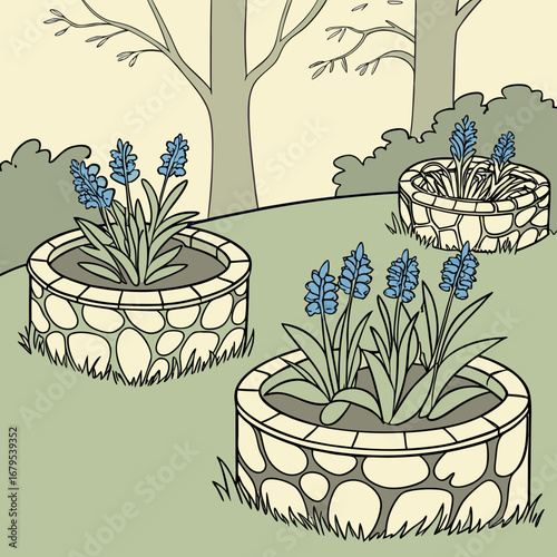 Charming garden scene with three stone planters filled with blue hyacinth flowers and lush greenery