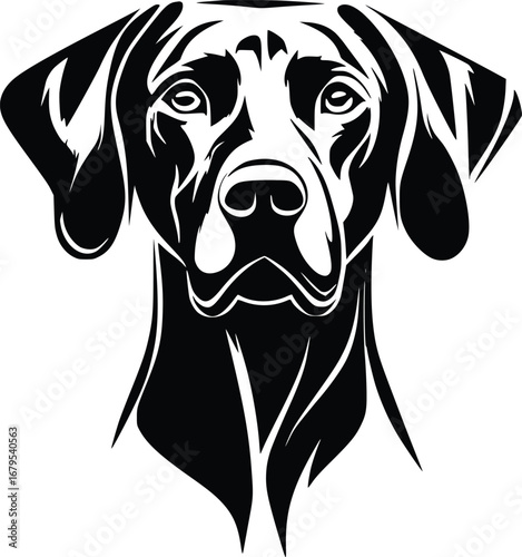 Vizsla head silhouette with sleek ears, defined snout, and attentive expression in black and white