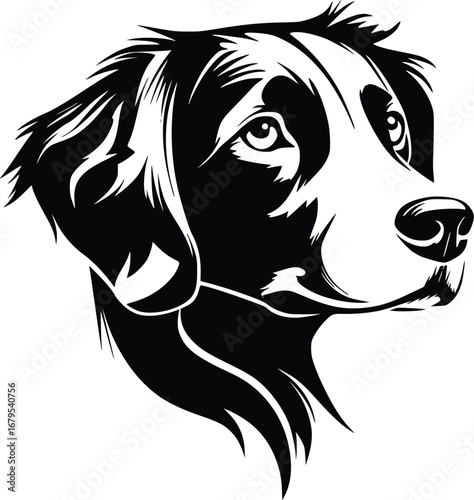Brittany head silhouette with short ears, expressive eyes, and alert gaze in black and white