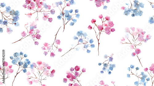 Watercolor pattern with gypsophila. branches of pink and blue gypsophila flowers on a white background. Romantic floral watercolor backgrounds. Floral patterns. Vector illustration.
