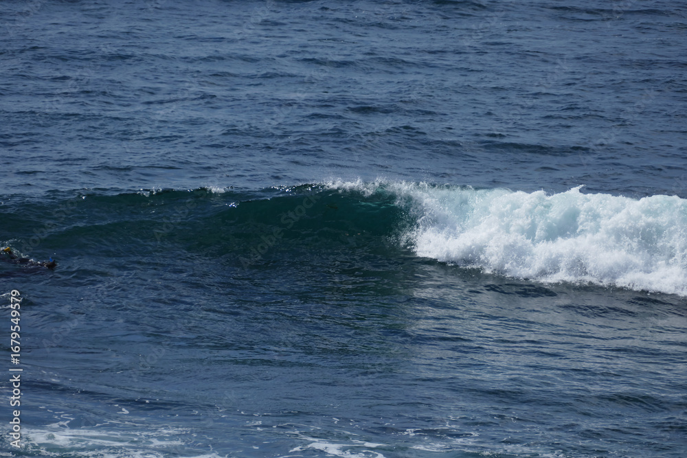 Fototapeta premium Pacific shore with white wave and blue ocean