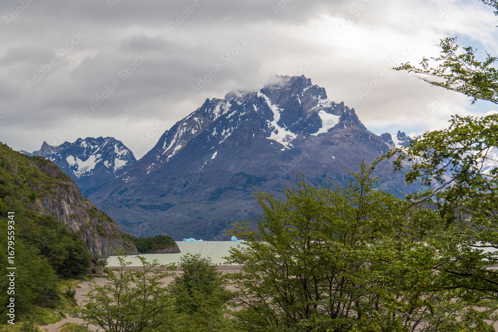Obraz premium View of the mountain landscape in the national park Torres del Paine, Patagonia, Chile, South America. Vegetation by the path to the lake Grey