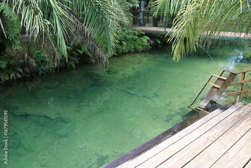 Crystal clear lake with greenish tones with a wooden deck near a point and coconut trees surrounded by nature