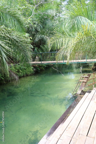 Crystal clear lake with greenish tones with a wooden deck near a point and coconut trees surrounded by nature