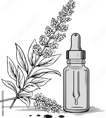 Lavender branch with essential oil dropper, black and white elegant outline design 1