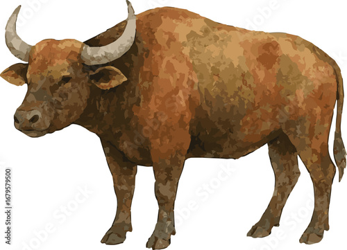 Watercolor vector illustration of a forrest buffalo
