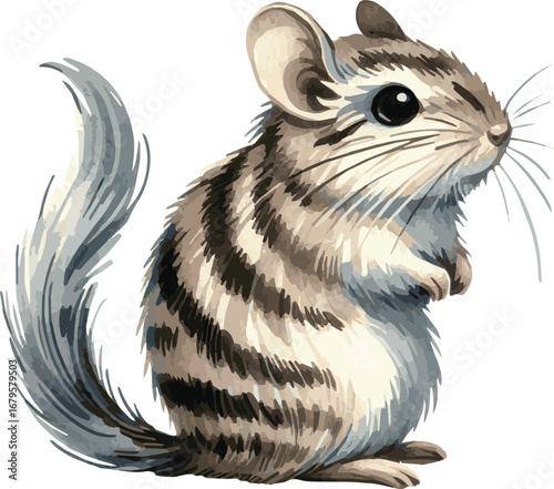 Vector adorable watercolor illustration of a gerbil