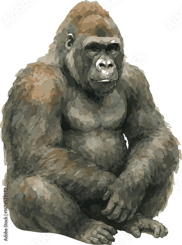 Vector realistic watercolor illustration of a gorilla