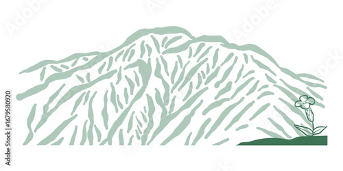 リンドウの花と赤石岳。日本の南アルプス国立公園の赤石山脈の景色より。Gentian flowers and Mount Akaishi. From a view of the Akaishi Mountains in Southern Alps National Park, Japan.