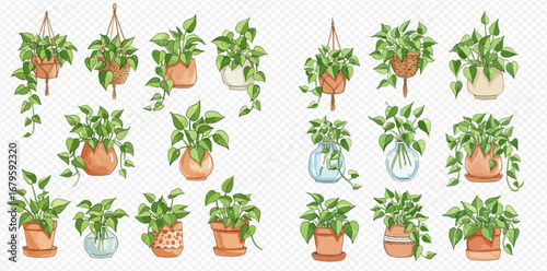 A collection of illustrated green vining houseplants in various decorative pots, hanging baskets, and glass vases.