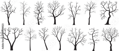 A vector illustration of black bare tree silhouettes with branches against a sky