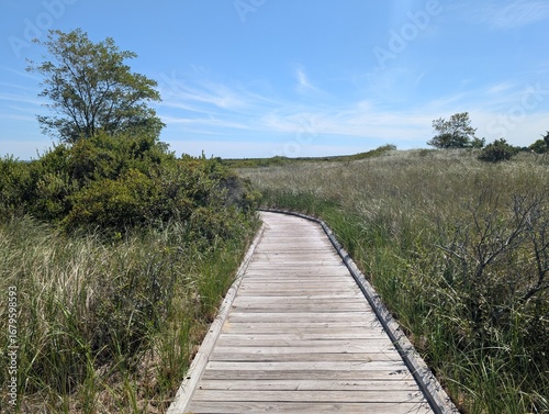 Wallpaper Mural Overview of Sandy Hook, New Jersey - August 2025 Torontodigital.ca