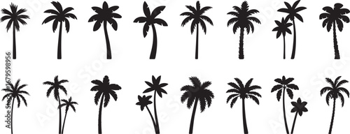 A stunning vector silhouette of a tropical palm tree landscape at sunset, showcasing a serene island beach scene
