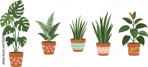 Indoor potted plants illustration with monstera, fern, snake plant, and rubber plant, botanical vector design for home decor, greenery, and decoration