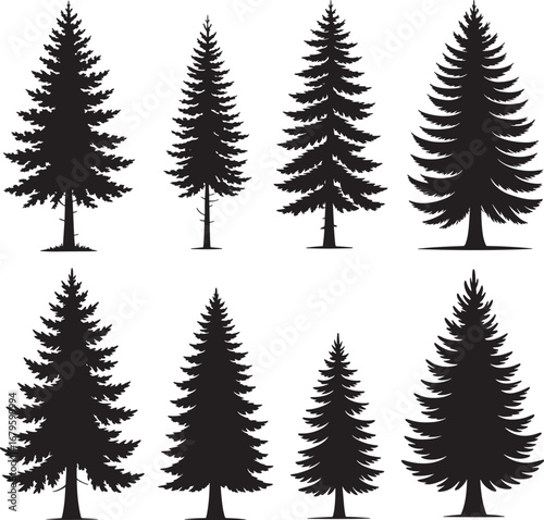 A beautiful illustration of a winter forest with snow-covered fir, pine, and evergreen trees