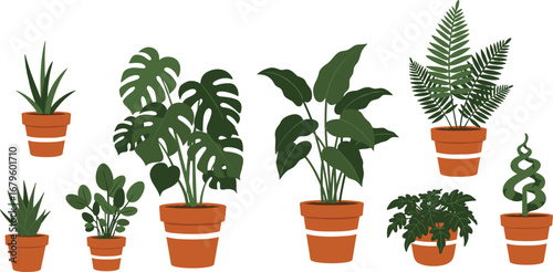 Tropical houseplant set in terracotta pots, indoor greenery collection vector, monstera, fern, leafy decor plants, isolated flat botanical illustration