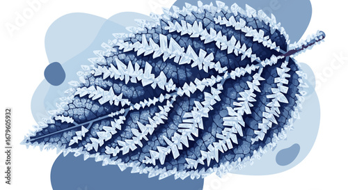 Close up of a frosted leaf with intricate ice crystals.