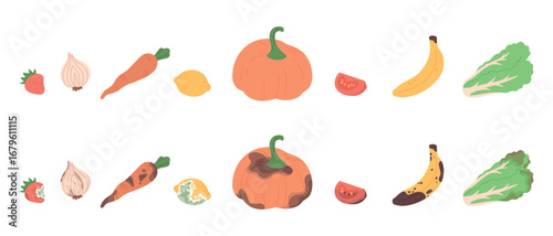 Rotten fresh vegetables and fruits. Farm products, seasonal harvest. Spoiled carrots pumpkin banana tomatoes onions salad. Ingredients for cooking, vector set