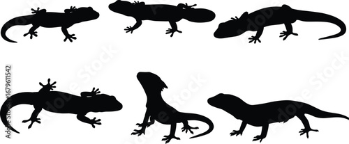 Silhouette vector illustration of lizards in multiple poses, reptile animal design for nature, wildlife, zoo themes, exotic creature clipart set