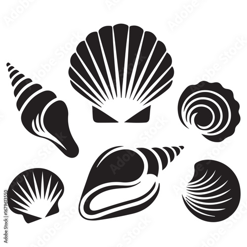 Sea shells icon set, art logo design. Vector black silhouette. with white background