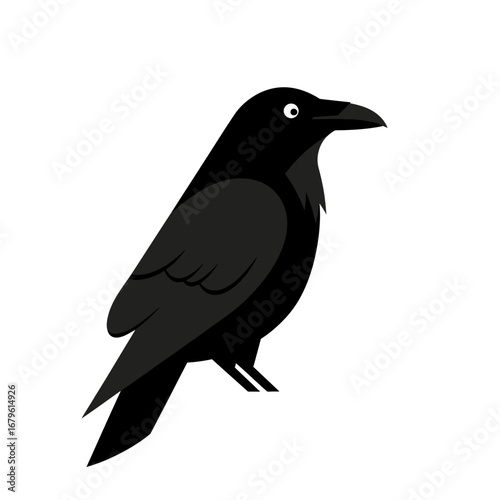 Isolated Black Raven Illustration A Sleek Silhouette on White Background