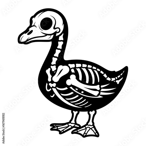 Duck Skeleton Illustration A Detailed Look at Avian Anatomy for Educational Purposes