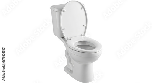 Bild auf Leinwand Isolated White toilet