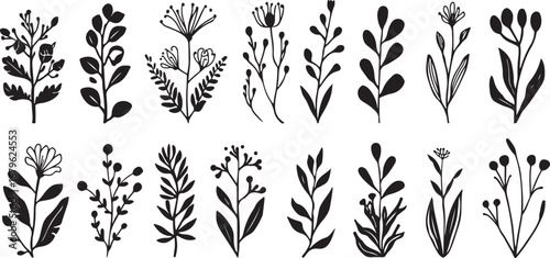 Seamless Botanical Pattern Featuring Hand Drawn Herbs and Flowers Black and White Design for Fabric Textile or Wrapping Paper