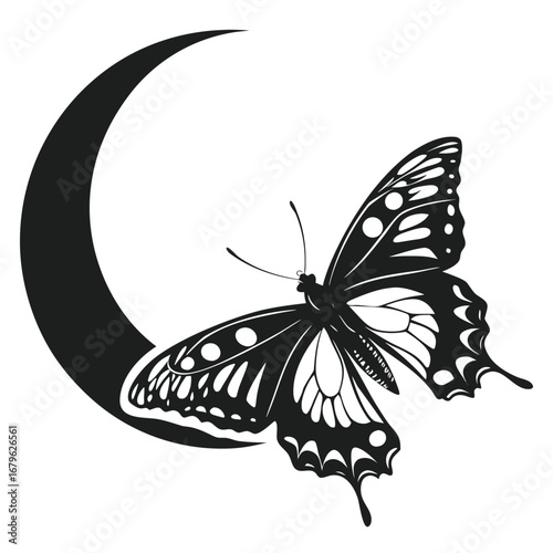 Butterfly wings glowing in glowing eclipse silhouette