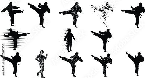 Karate Silhouette Vector Collection with Martial Arts Poses, Dynamic Motion Effects, Kickboxing Illustrations, Fitness and Combat Graphics