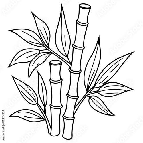 Black and white illustration of bamboo with leaves and stems for coloring.