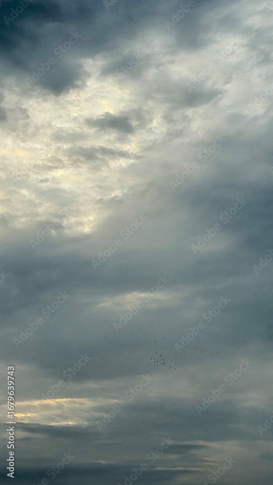 Fototapeta premium Gray Vertical Sky Cloud Cover