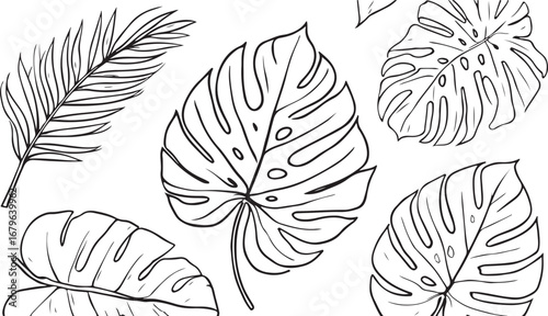Tropical leaves illustration black and white design featuring palm fronds and monstera leaves for botanical or nature themed artwork and backgrounds