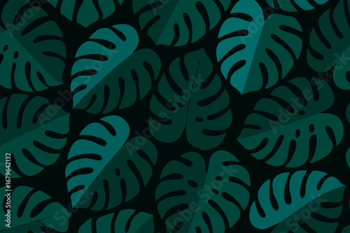 Green monstera leaves create a vibrant tropical pattern on a dark background for stylish interior decor