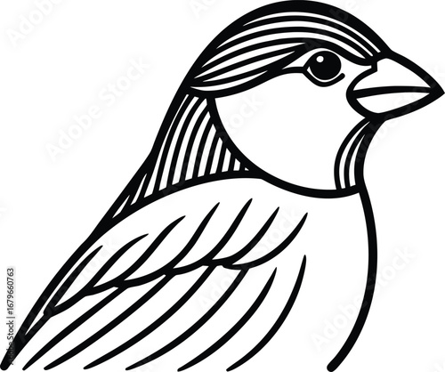 Vector art of a simple black and white illustration of a sparrows head and upper body, isolated on a, showcasing its detailed feathers and beak