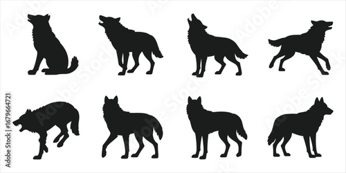 Collection of eight black wolf silhouettes in various poses on white background Keywords: wolf, wolves