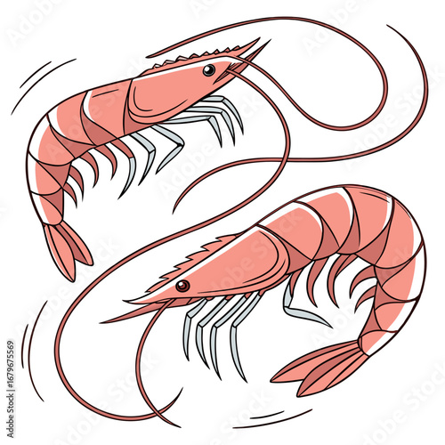 Vector art of two pink shrimps swimming in circle