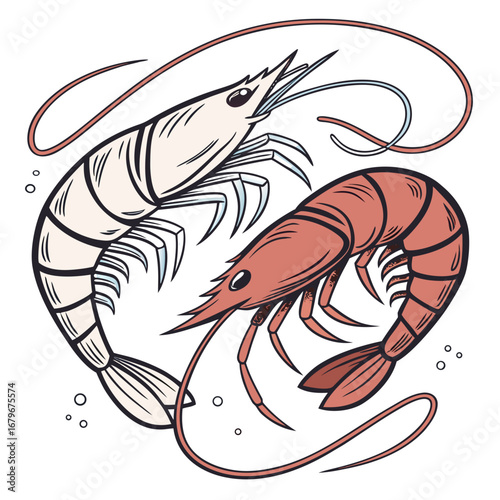 Vector art of two shrimps with different colors