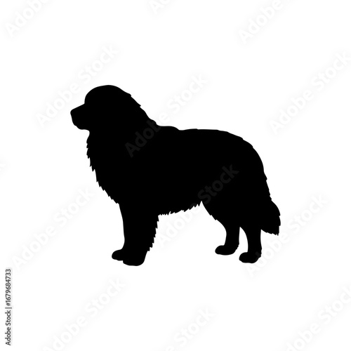 Dog great pyrenees silhouette vector flat illustration design.