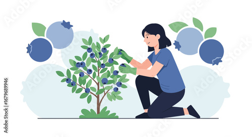 Woman Harvesting Blueberries from a Bush in a Sunlit Garden, Illustration