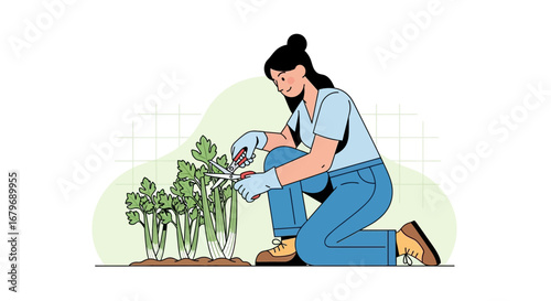 Woman Harvesting Celery In A Garden, Concept of Freshness and Gardening Illustration