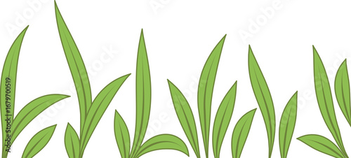 Springtime Serenity: A Simple Leafy Border Balcground