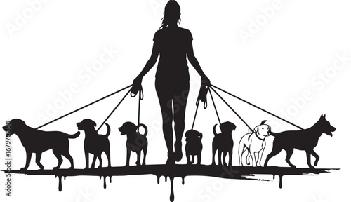 Silhouette of a woman walking multiple dogs on leashes in black