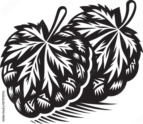 Illustration of two stylized hop cones with detailed leaves in a black and white design