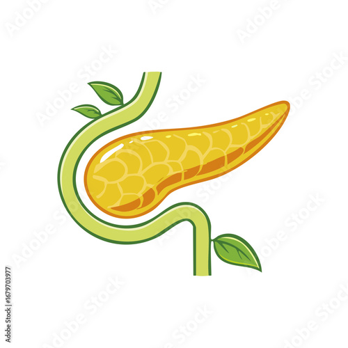 Pancreas with Plant Stem and Leaves Illustration Depicting Health and Growth