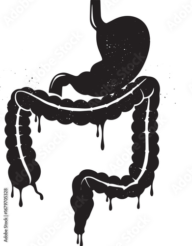Distorted anatomical illustration depicting digestive system aff