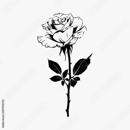 Rose Single Icon Symbol Isolated Graphic Concept, Rose Lover Vintage Retro Black Graphic Illustration Design Clothing