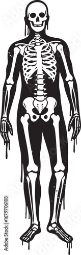 Stylized human skeleton illustration with dripping effect in bla